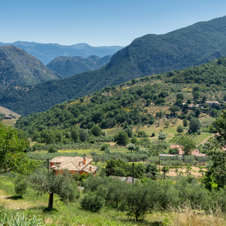 Castro dei Volsci: Un Incantevole Borgo nella Terra dei Volsci